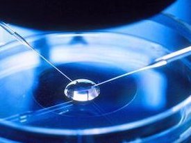 郑州最新试管助孕医院名单发布，2026助孕生孩子收费标准账单