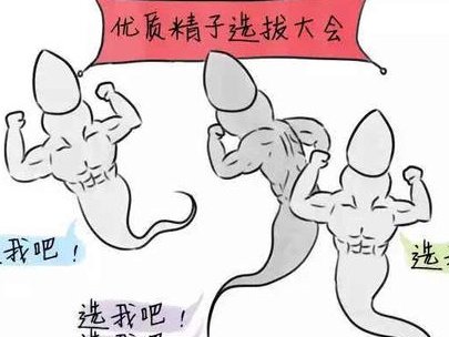 试管助孕费用应该是多少(在哪里做试管助孕最靠谱)