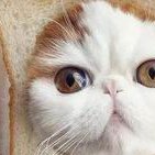 嘉兴试管高成功率医院名单揭晓，前三名皆在意料之中