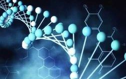 2026年无结婚证在沈阳二〇四医院做三代试管的费用高吗？费用详细介绍