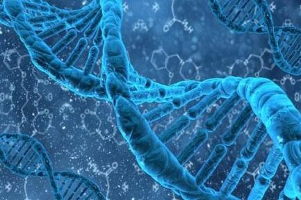 厦门安宝医院试管成功率高吗？试管成功率有50%吗？