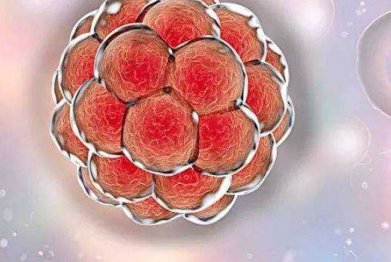 第二次试管需要注意哪些事项，杭州做试管要多少钱？