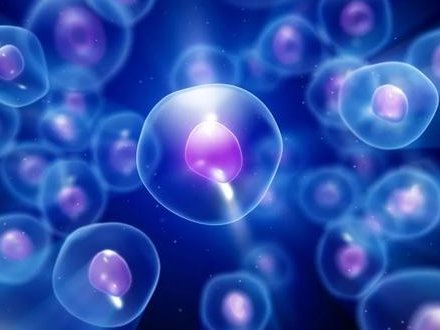 大连助孕机构大全：权威助孕公司盘点一览